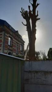 Les Jardins d’Olivier à Wallers