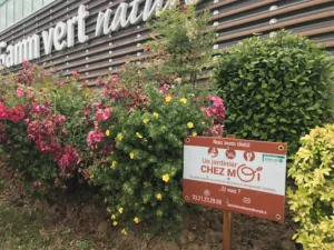 Un jardinier chez moi – Gamm vert à Athies