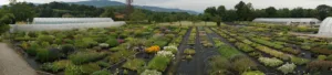 Jardin des Alpes à Vinay