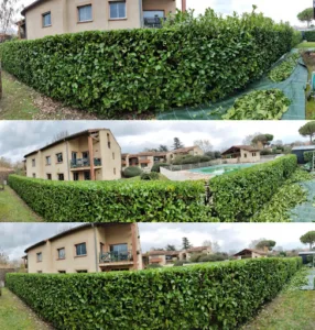 Maison et Services Cugnaux | Ménage, repassage, jardinage, nettoyage des vitres à Cugnaux