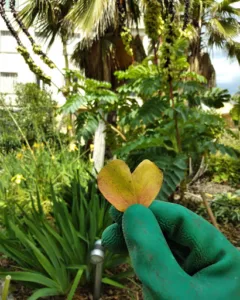 jardins passions à Drap