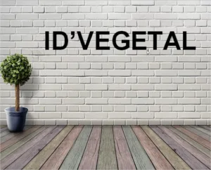 Id’vegetal à Passenans