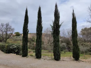 Les Jardins DT à Lorgues