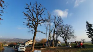 Coudurier environnement à Arenthon