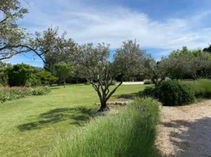 Pierre O Paysage à Graveson