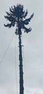 AM ELAGAGE à Moncoutant-sur-Sèvre