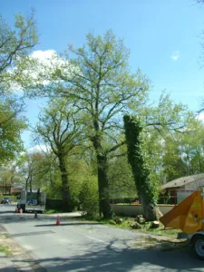 AJA à Eysines