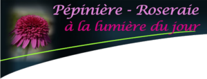 A la Lumiere Du Jour à Verfeil