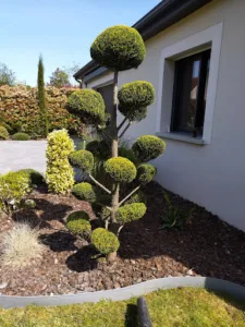 Les Jardins de Sébastien à La Celle-sur-Morin