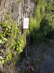 ARS NATURA sarl à Grasse
