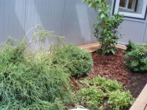 Décor Jardin à Vailly