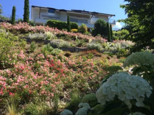 Dupont-Roc Paysage à Thônes