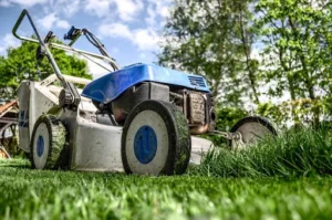 bricojardin31: paysagiste Toulouse, jardinier Toulouse, Espace vert Toulouse à Launaguet