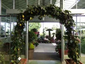 Jardinerie Jay à Marmande