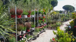 Pépinière Jardinerie Jeanselme à Bouc-Bel-Air