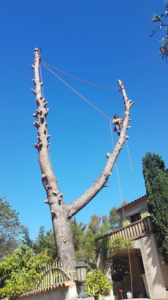 Giovannetti Florent à Les Pennes-Mirabeau