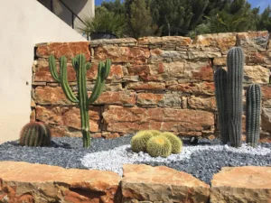 Cactustory Jardinerie des Jonquiers à Aubagne