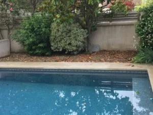 entretien jardins, élagage à Montpellier, Prades-le-Lez: Élagage 34 à Saint-Clément-de-Rivière