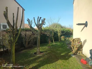 Les jardins verts à Le Châtelet-en-Brie