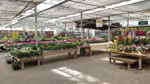 Passion Jardin à Châteaurenard