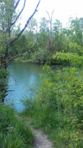S.A.R.L. FEVRE VIELLARD à Roset-Fluans