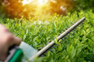 Ménage, jardinage particuliers et professionnels / ATES à Locminé