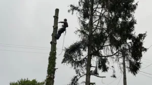 Ruben Elagage à Jouy-le-Moutier