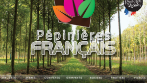 Pépinières Français à Perrigny