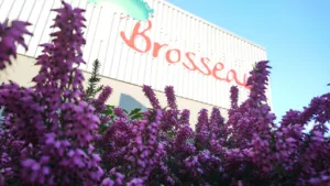 Brosseau Paysagiste à Montaigu-Vendée