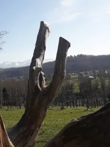 Zaccardelli Laurent à Lamarque-Pontacq