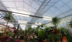 Côté Jardin à Valentigney