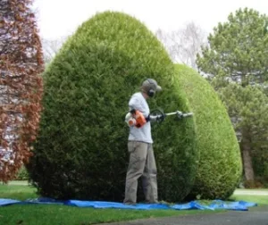 Jardin & Services à Plomeur