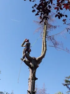 au coeur des jardins 77 à Verneuil-l'Étang