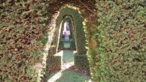Ainterractive à Rignieux-le-Franc