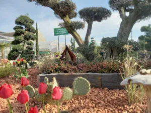 Boutault Plantes SARL à Villeneuve-la-Guyard