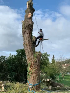 SEVE à Malzéville