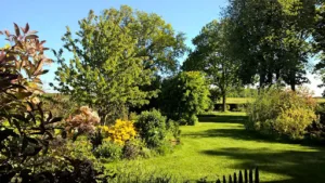 BOUSSARDON JARDIN: Jérémy, Paysagiste dans le Perche à Lamblore