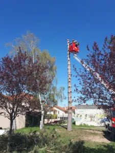 Vert Avenir à Lentigny