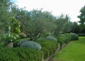 Les Jardiniers Créateurs à Cabrières