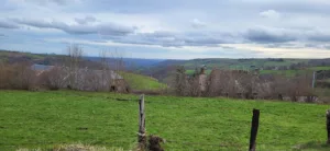 Allan – Arbres & Jardins à Saint-Clément