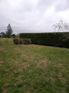Vert Paysage à Monflanquin