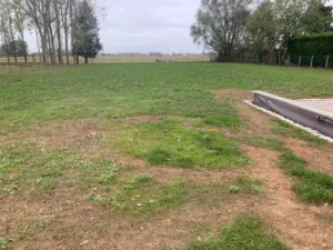 Intelnat Geneplantes FFF à Lestrem