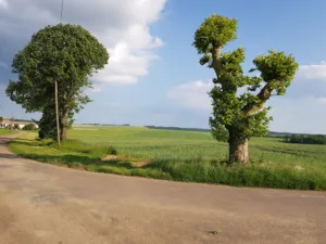 Fourrey Daniel à Molosmes