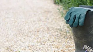 LES JARDINIERS PAYSAGISTES à Ormes