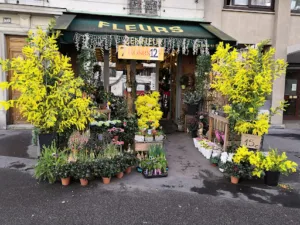 Zen Fleur à Boulogne-Billancourt