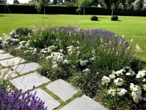 Jardins privés à Lille