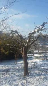côté jardin – DM jardins à Fillinges