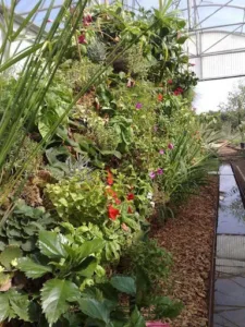 vertikaldesign – Entretien de parcs et jardins à Grimaud