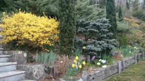 Gicquel Jardin à Montertelot