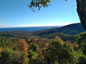 A.s.l Hauts Des Issambres à Roquebrune-sur-Argens